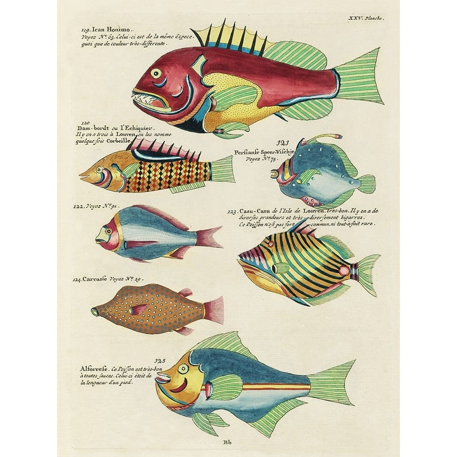 Renard Tropical Fish III Poster Print - Louis Renard-VARPDX204906Z Image 1