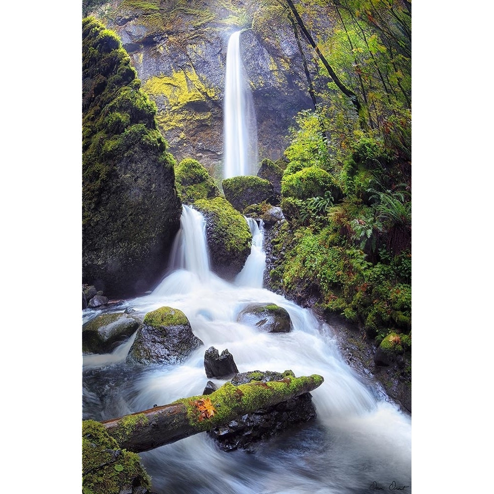 Rapid Waterfall I Poster Print - David Drost-VARPDX204951Z Image 1