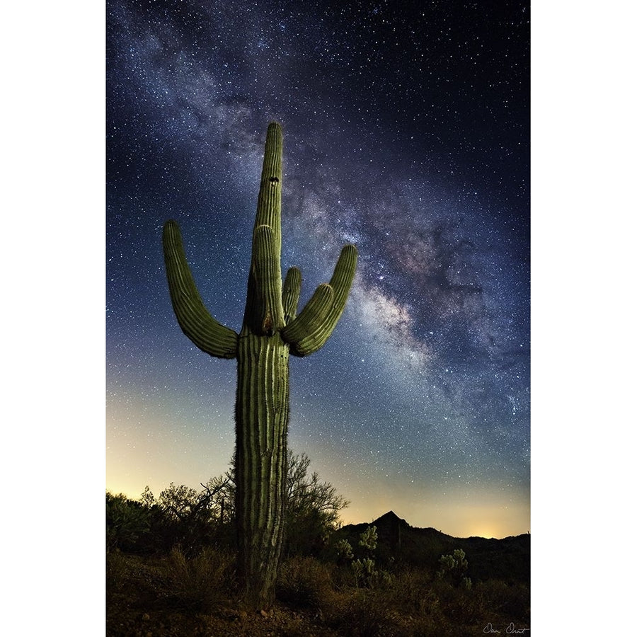 Desert Lights I Poster Print - David Drost-VARPDX205033Z Image 1