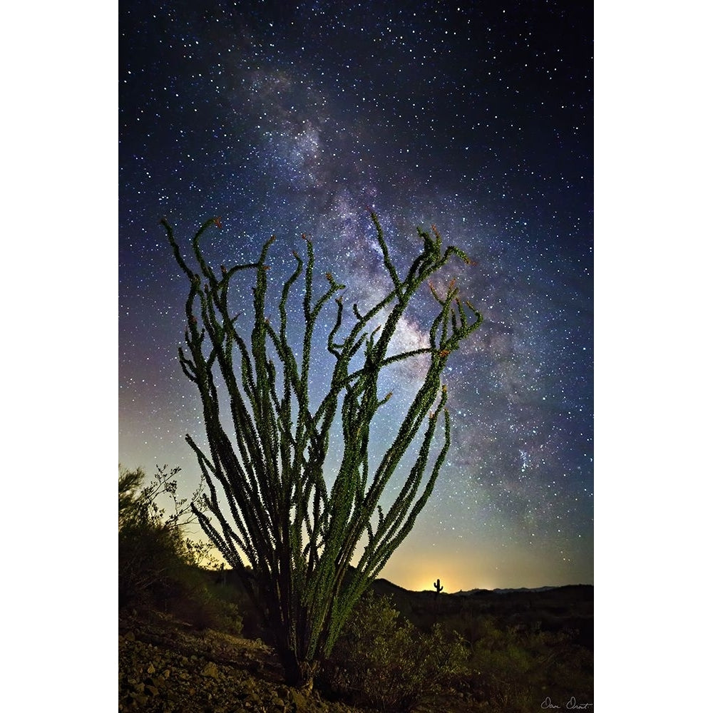 Desert Lights II Poster Print - David Drost-VARPDX205034Z Image 1