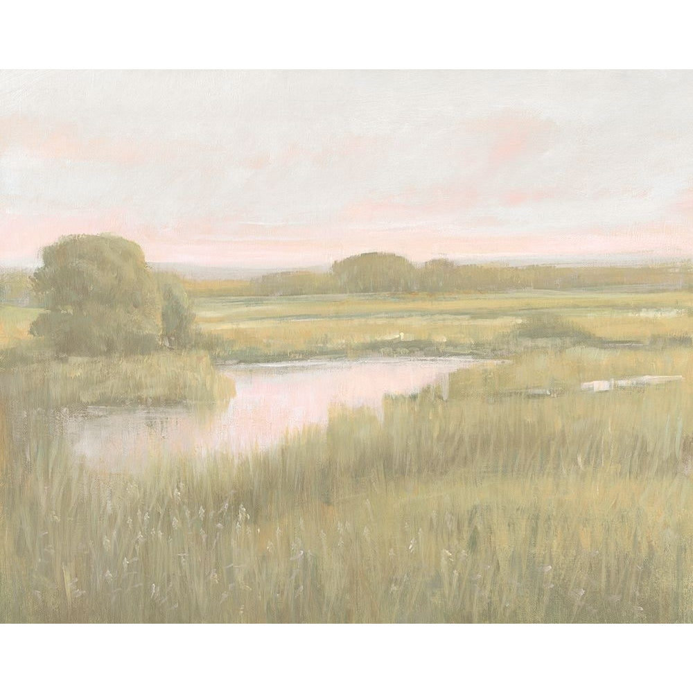 Marsh Horizon at Dawn I Poster Print - Tim OToole-VARPDX205177Z Image 1