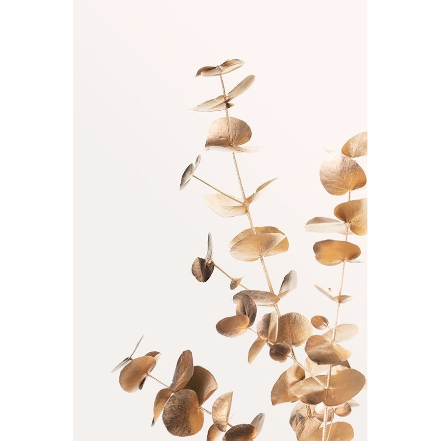 Eucalyptus Gold No 05 Poster Print - 1x Studio III-VARPDX2057925 Image 1