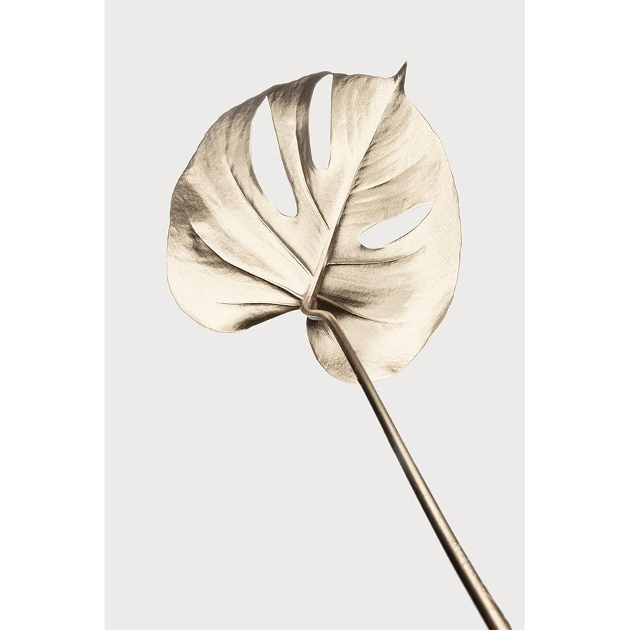 Monstera Gold 05 Poster Print - 1x Studio III-VARPDX2058414 Image 1