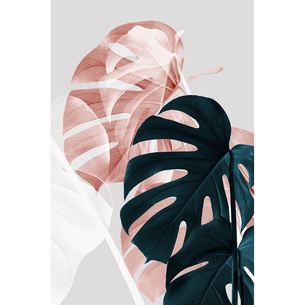 Monstera Creative 09 Poster Print - 1x Studio III-VARPDX2058429 Image 1