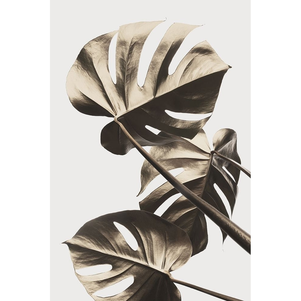 Monstera Gold 09 Poster Print - 1x Studio III-VARPDX2058418 Image 1