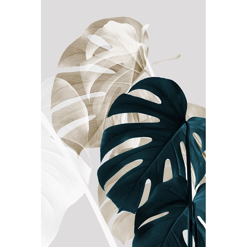 Monstera Creative 05 Poster Print - 1x Studio III-VARPDX2058425 Image 1