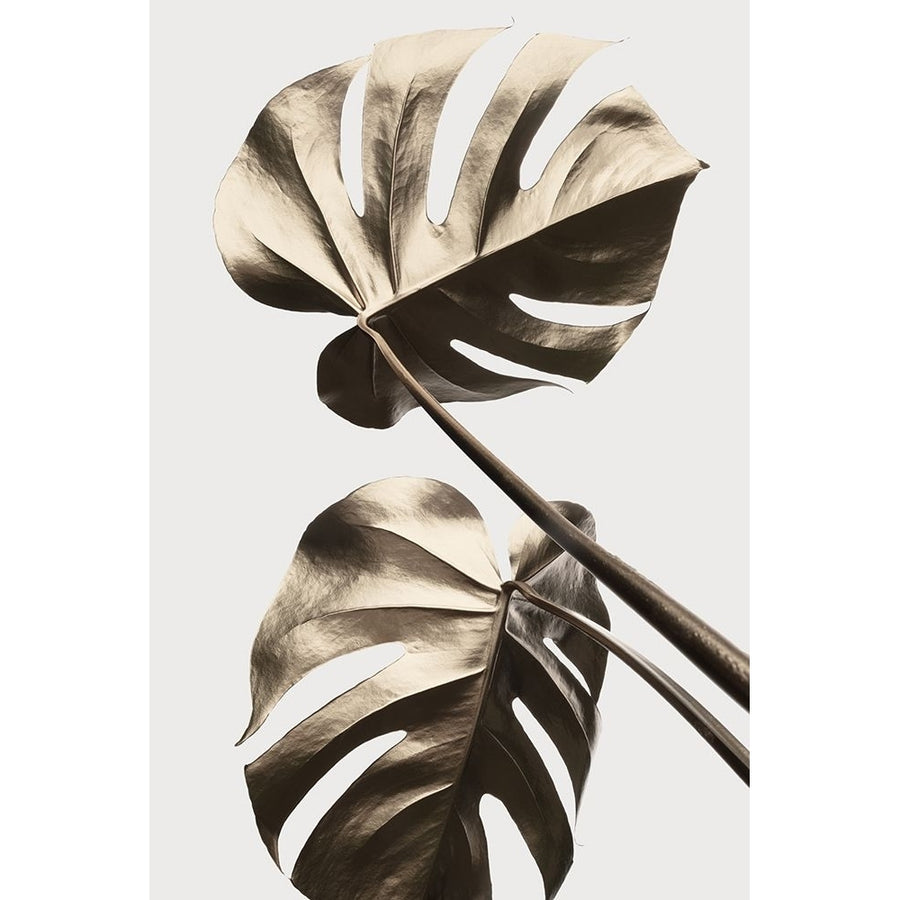 Monstera Gold 08 Poster Print - 1x Studio III-VARPDX2058417 Image 1