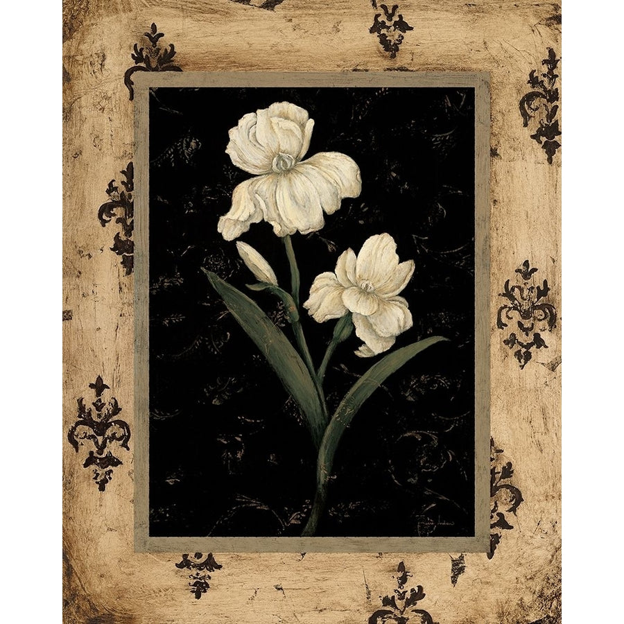 Silver Iris Poster Print by Regina Andrew-VARPDX205AND1036 Image 1