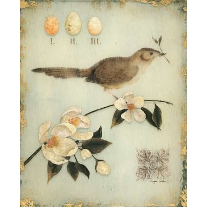 Blossom Recollection Poster Print by Regina Andrew Design-VARPDX205AND1227 Image 2