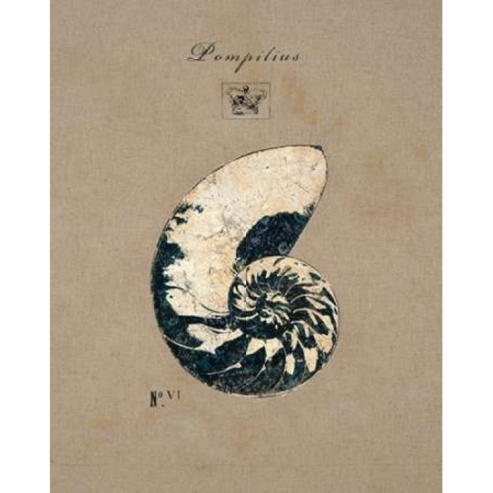 Vintage Linen Nautilus Poster Print by Regina Andrew Design-VARPDX205AND1246 Image 1