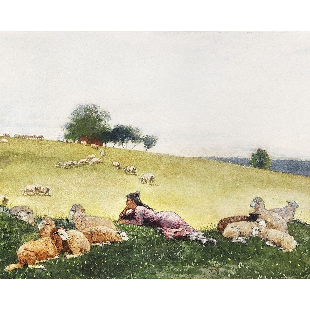 Homers Sheep Countryside II Poster Print - Winslow Homer-VARPDX206096Z Image 1