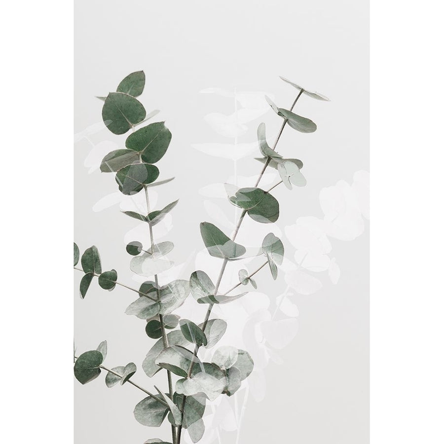 Eucalyptus Creative 02 Poster Print - 1x Studio III-VARPDX2061432 Image 1