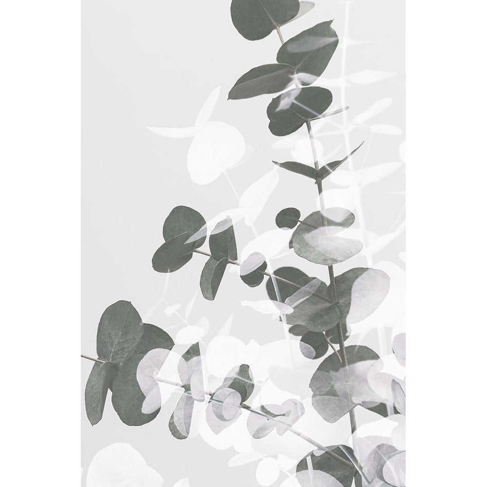 Eucalyptus Creative 09 Poster Print - 1x Studio III-VARPDX2061440 Image 1