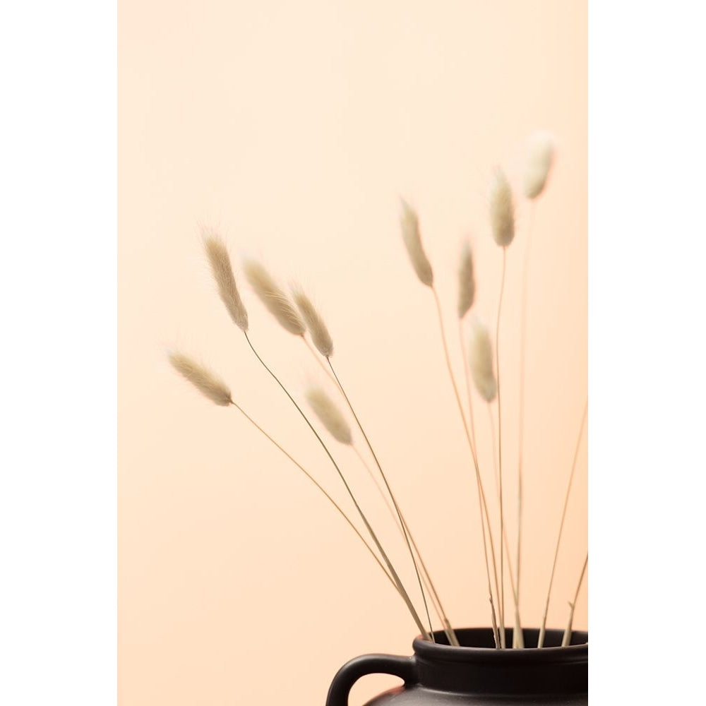 Bunny Grass Peach 01 Poster Print - 1x Studio III-VARPDX2064664 Image 1