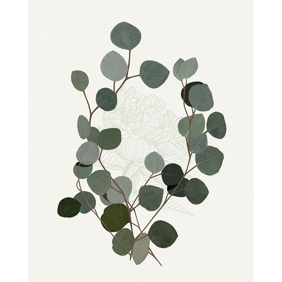 Eucalyptus Leaves I Poster Print - Katie OShea-VARPDX206480FN Image 1