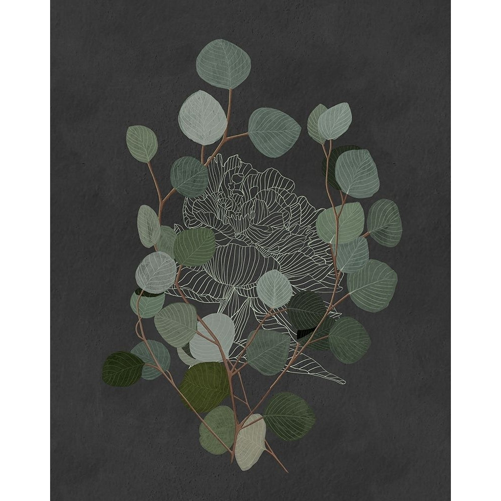 Eucalyptus Leaves III Poster Print - Katie OShea-VARPDX206482FN Image 1