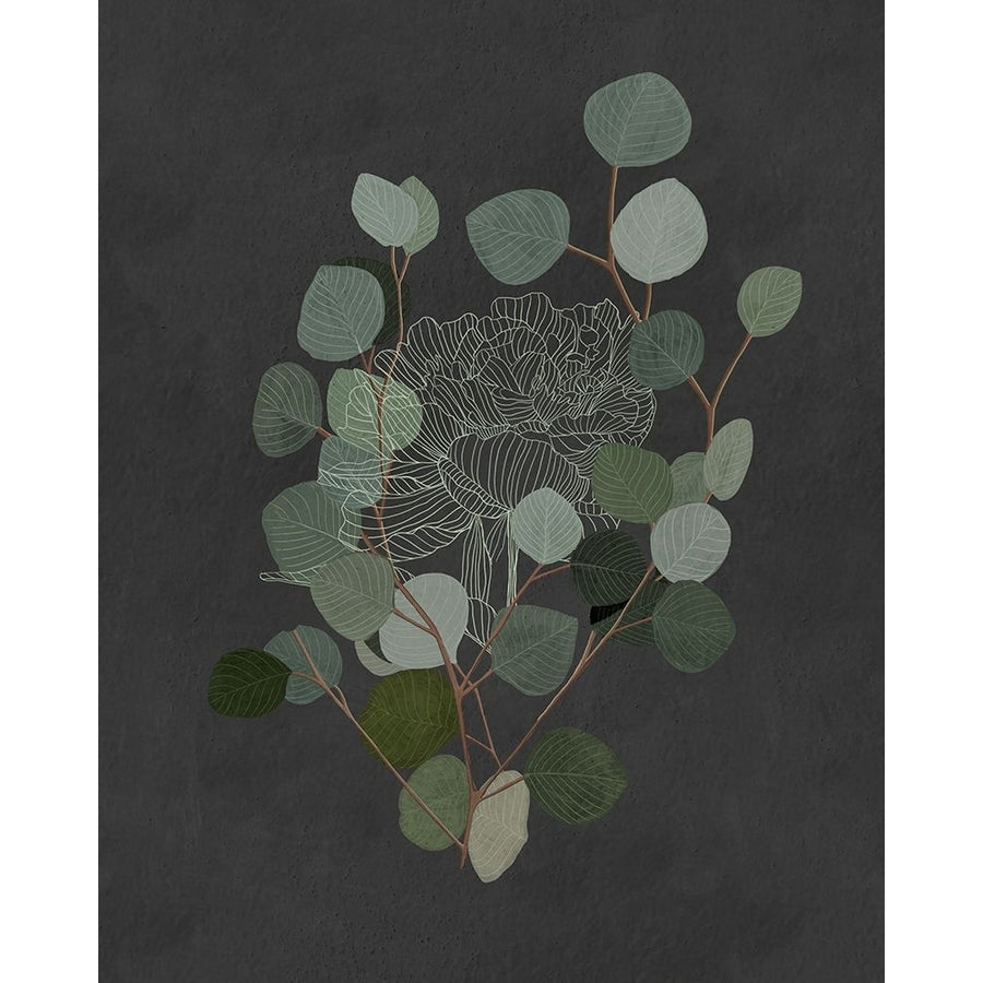 Eucalyptus Leaves IV Poster Print - Katie OShea-VARPDX206483FN Image 1