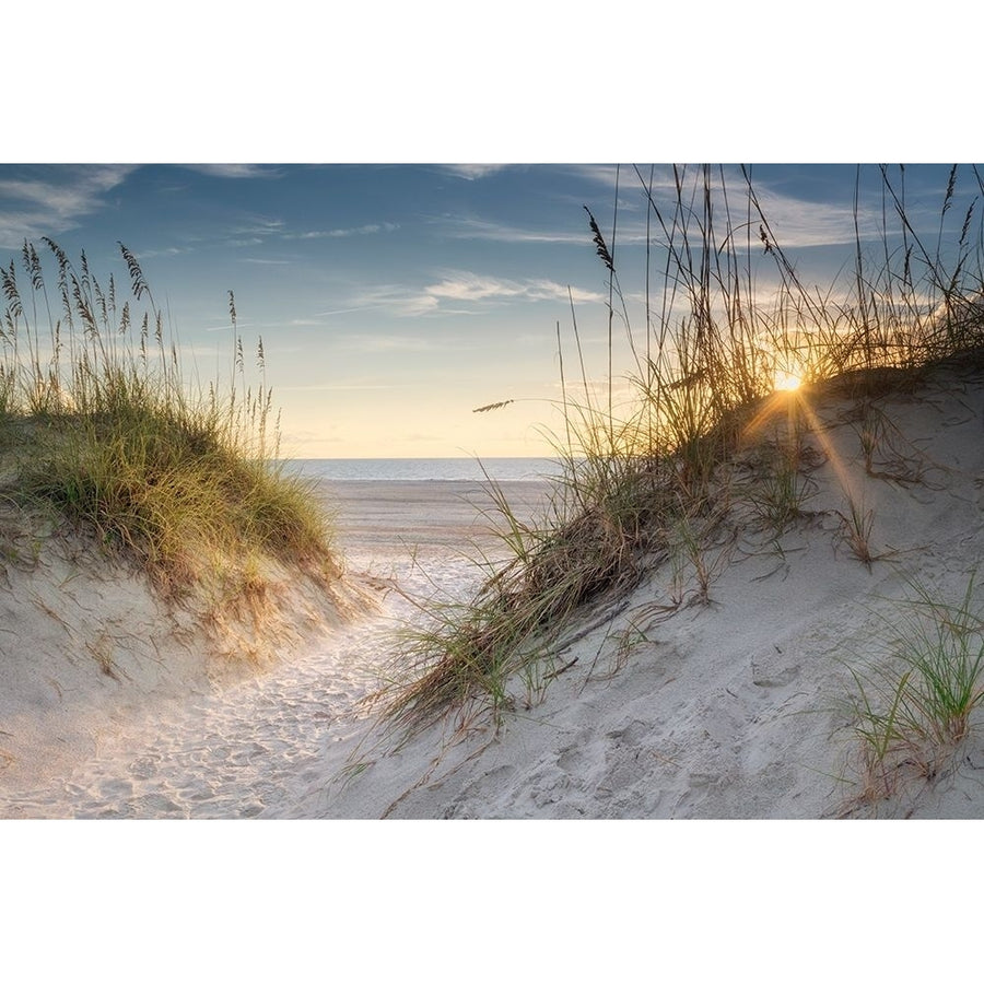 The Dunes Poster Print - Danny Head-VARPDX207174 Image 1