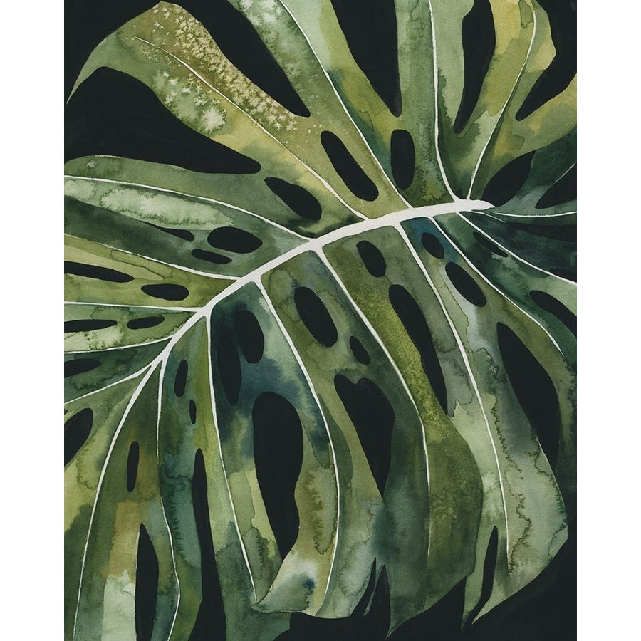 Nocturnal Monstera II Poster Print - Grace Popp-VARPDX207390FN Image 1