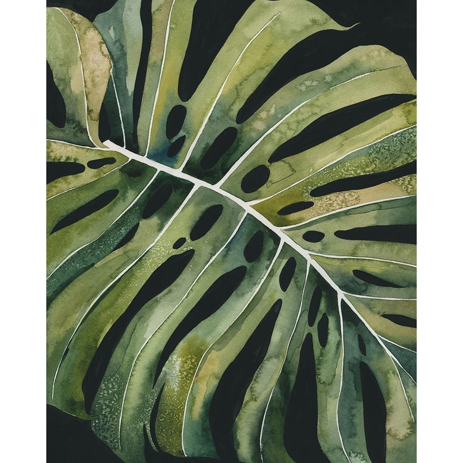 Nocturnal Monstera I Poster Print - Grace Popp-VARPDX207389FN Image 1