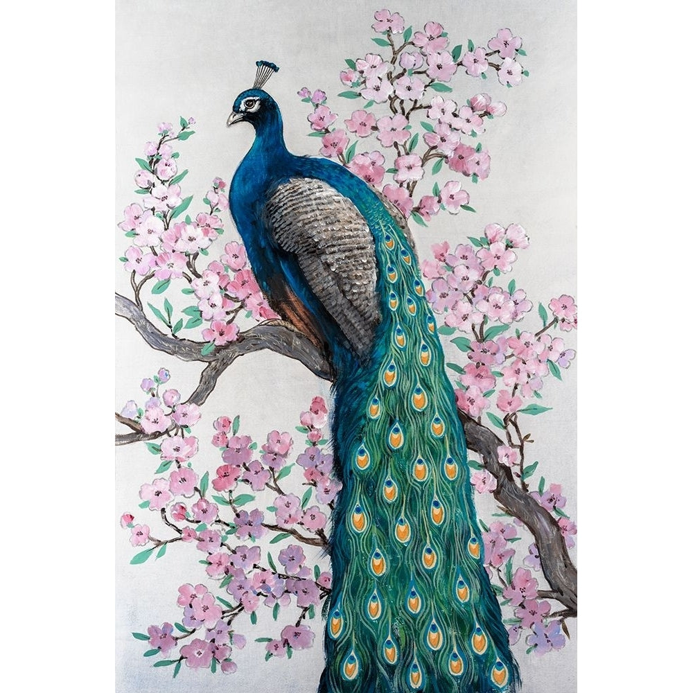 Peacock and Blossom I Poster Print - Tim OToole-VARPDX207543FN Image 1