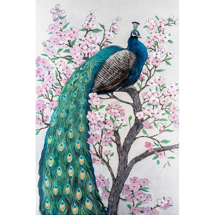 Peacock and Blossom II Poster Print - Tim OToole-VARPDX207544FN Image 1