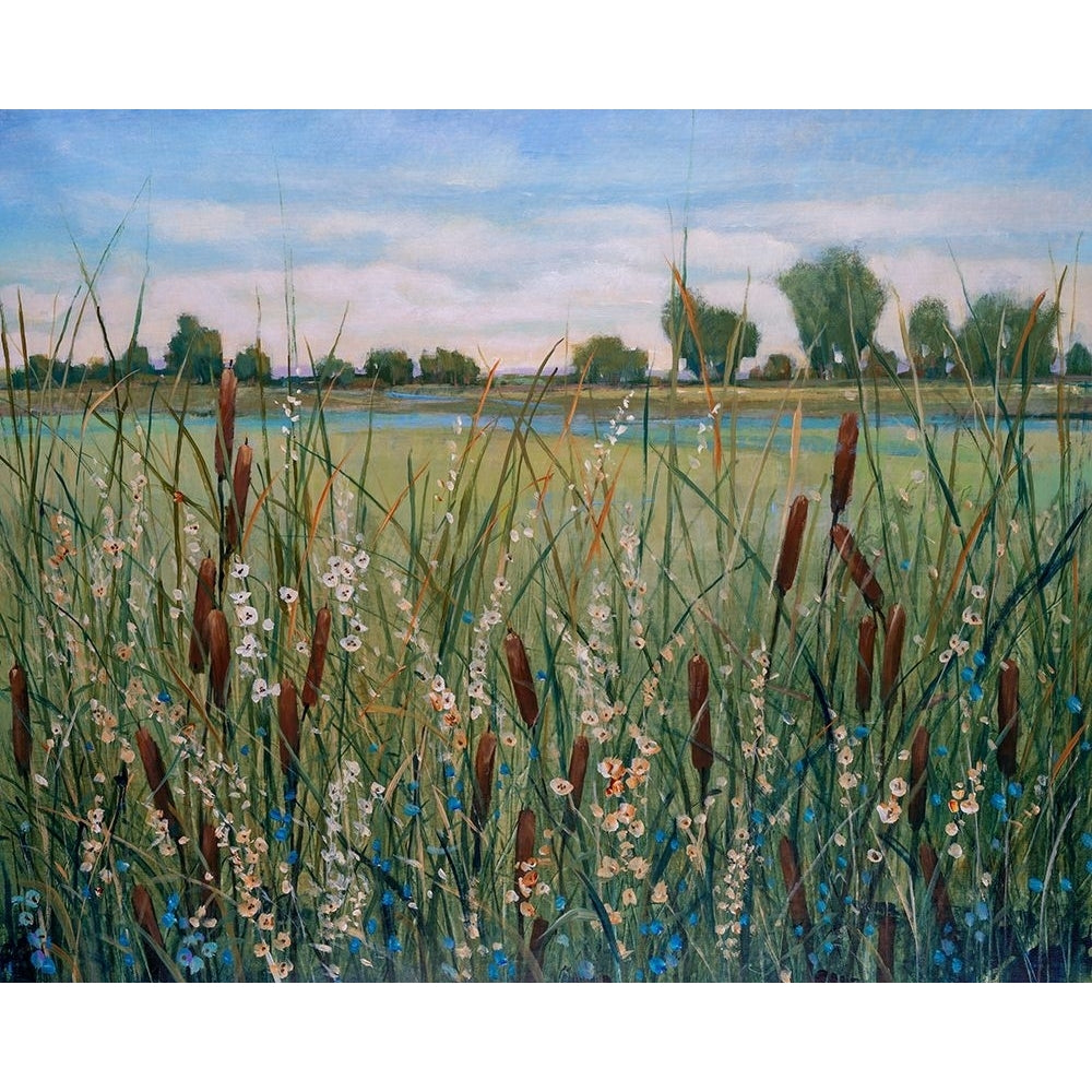 Cattail Marsh II Poster Print - Tim OToole-VARPDX207548FN Image 1