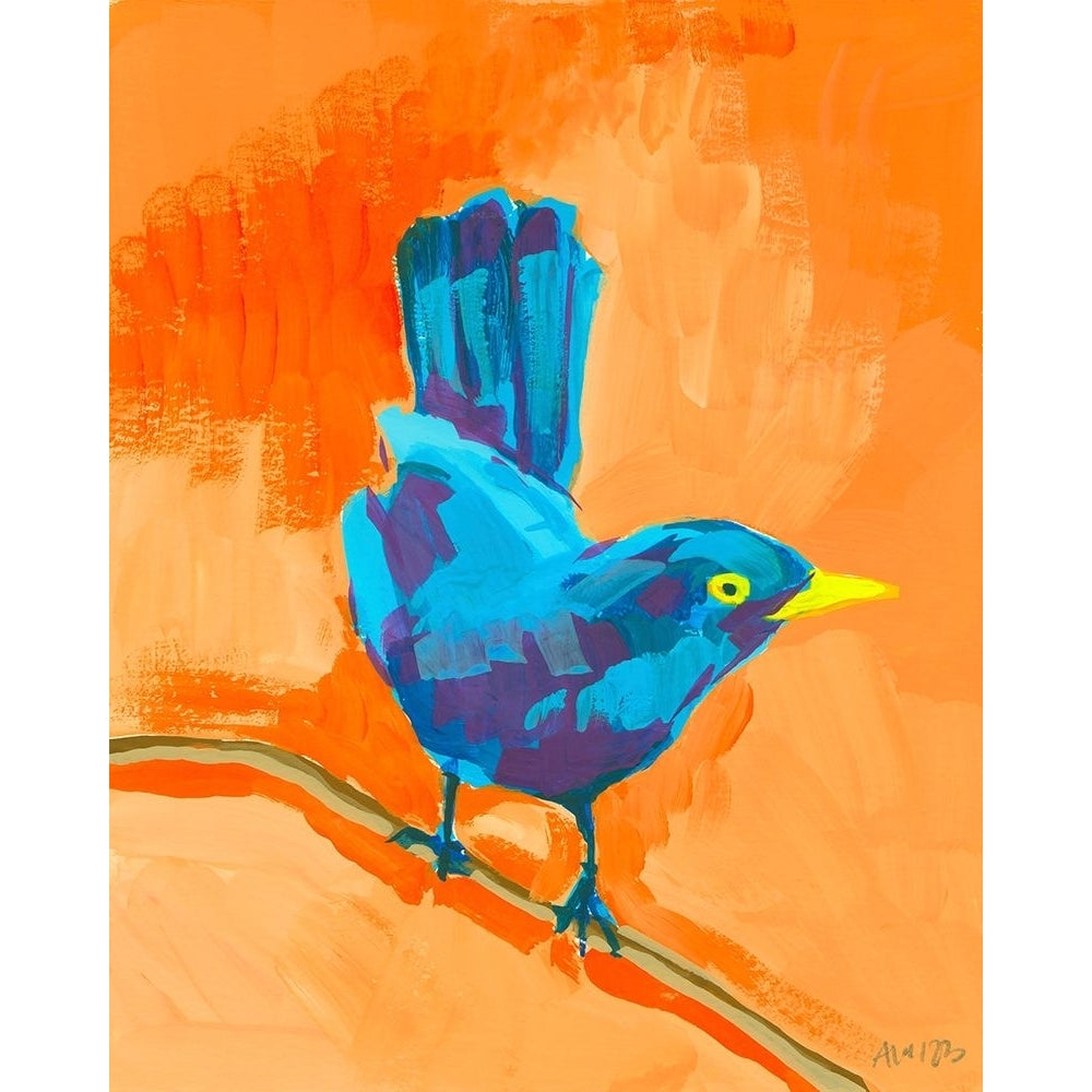 Balanced Bird I Poster Print - Ania Zwara-VARPDX207577FN Image 1