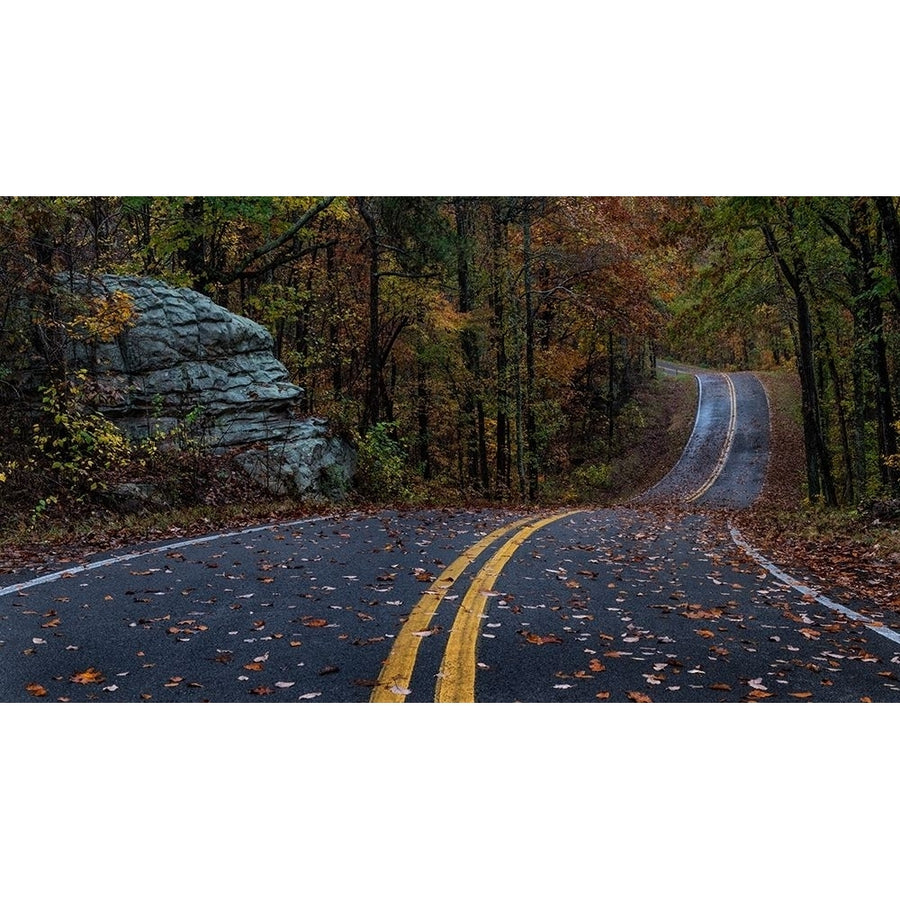 Autumn Drive III Poster Print - Danny Head-VARPDX207907 Image 1