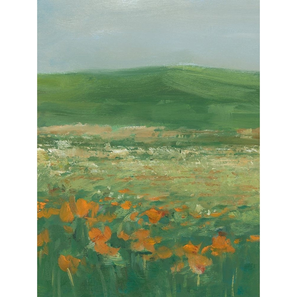 Summer Poppy Field II Poster Print - Ethan Harper-VARPDX208110FN Image 1