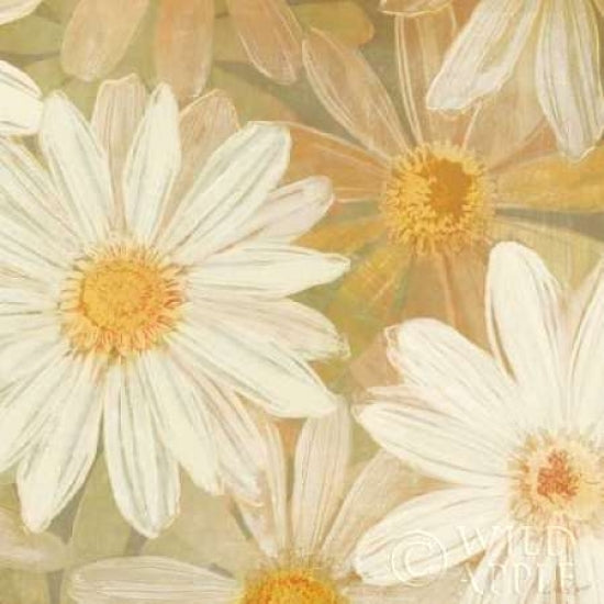 Daisy Story Square II Poster Print by Kathrine Lovell-VARPDX2081 Image 1