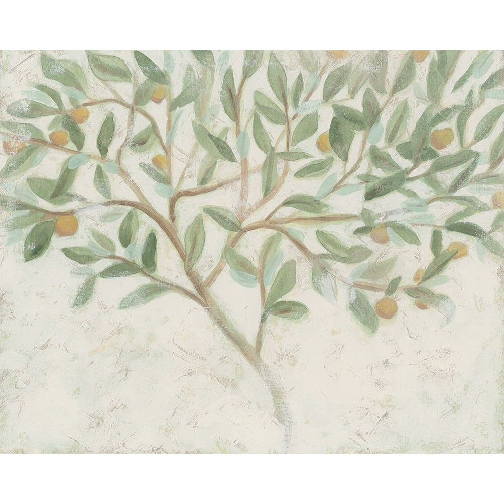 Citrus Tree Fresco II Poster Print - June Erica Vess-VARPDX208361FN Image 1