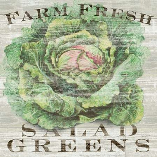 Farm Fresh Greens Poster Print by Sue Schlabach-VARPDX20838 Image 1