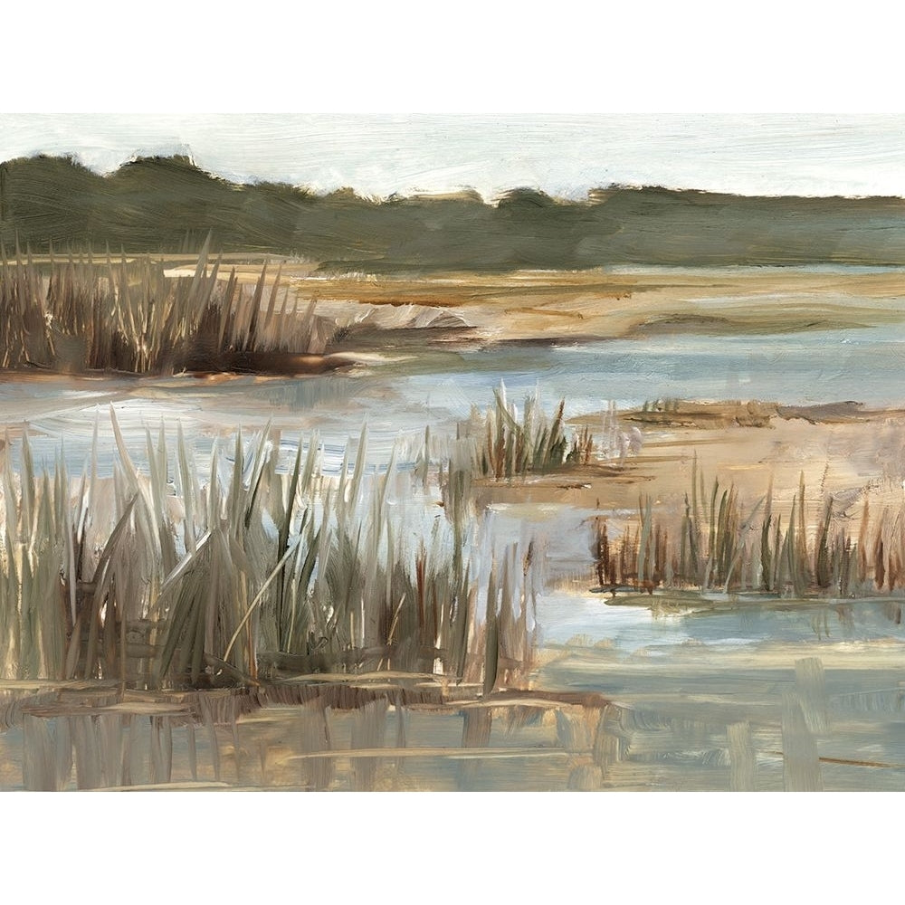 Wetland Grasses I Poster Print - Ethan Harper-VARPDX209127FN Image 1