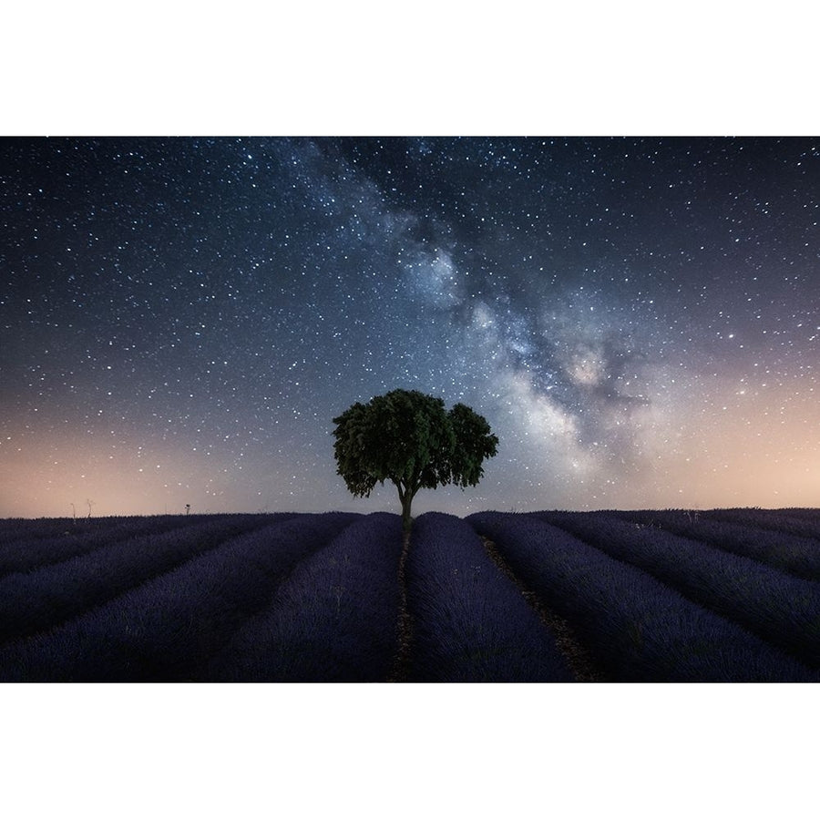 Tree And Milky Way Poster Print - Jorge Ruiz Dueso-VARPDX2093589 Image 1