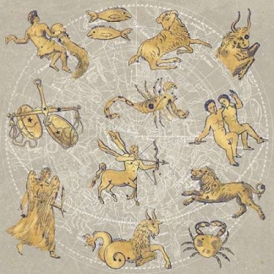 Gilded Zodiac Poster Print by Sue Schlabach-VARPDX20943 Image 2