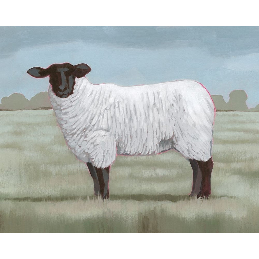 Shepherds Sheep II Poster Print - Grace Popp-VARPDX209555FN Image 1