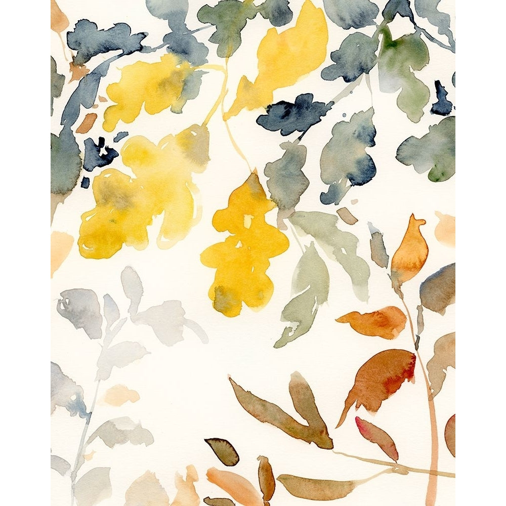 Changing Autumn Hues II Poster Print - Victoria Barnes-VARPDX209648FN Image 1