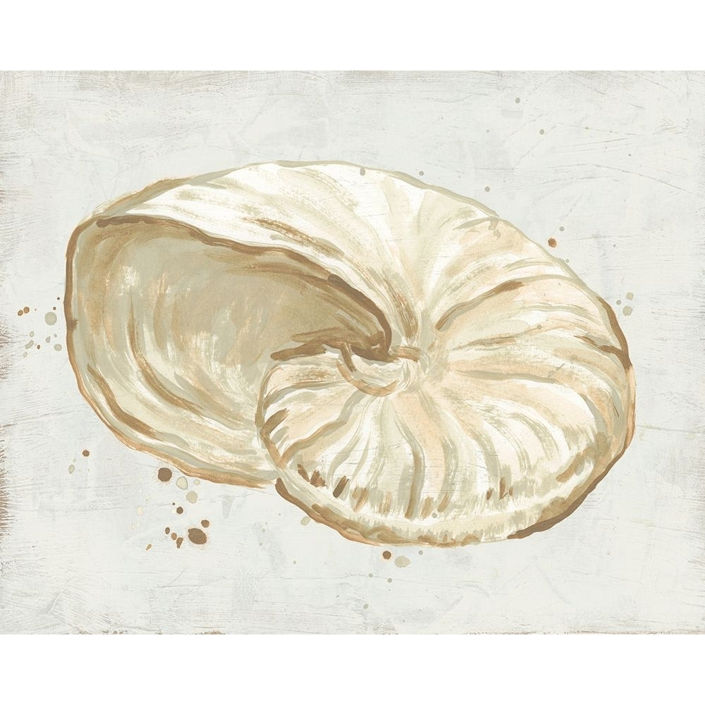 Neutral Shell Fresco I Poster Print - June Erica Vess-VARPDX209700FN Image 1