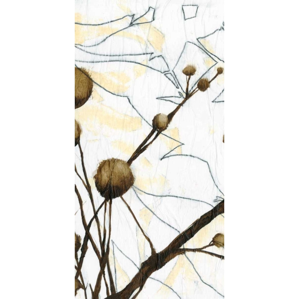 Willow Blooms I Poster Print - Jennifer Goldberger-VARPDX20980FN Image 1