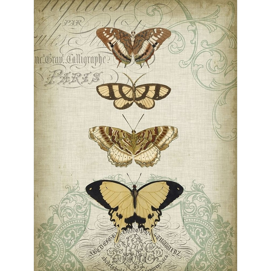 Cartouche and Butterflies II Poster Print - Jennifer Goldberger-VARPDX20983Z Image 1