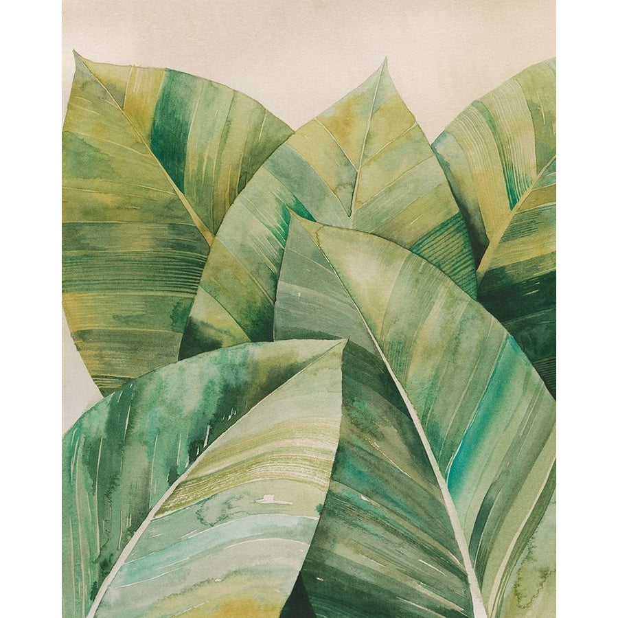 Tropic Depth II Poster Print - Grace Popp-VARPDX209856FN Image 1