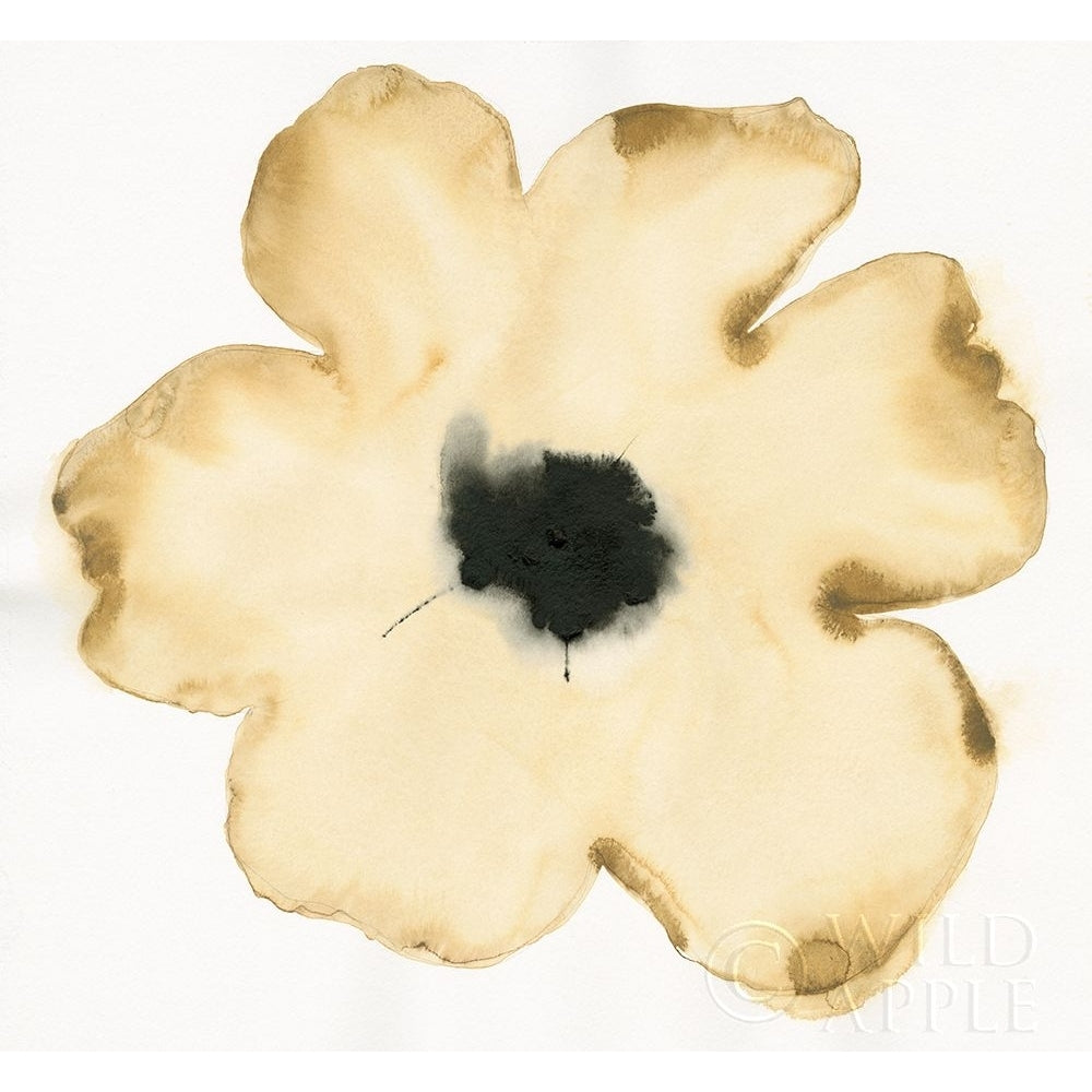 Suede Fleur II Poster Print by Shirley Novak-VARPDX21190 Image 1