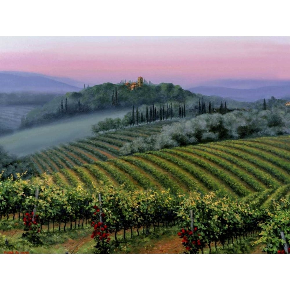 Chianti Dusk Poster Print - Michael Swanson-VARPDX21227Z Image 1