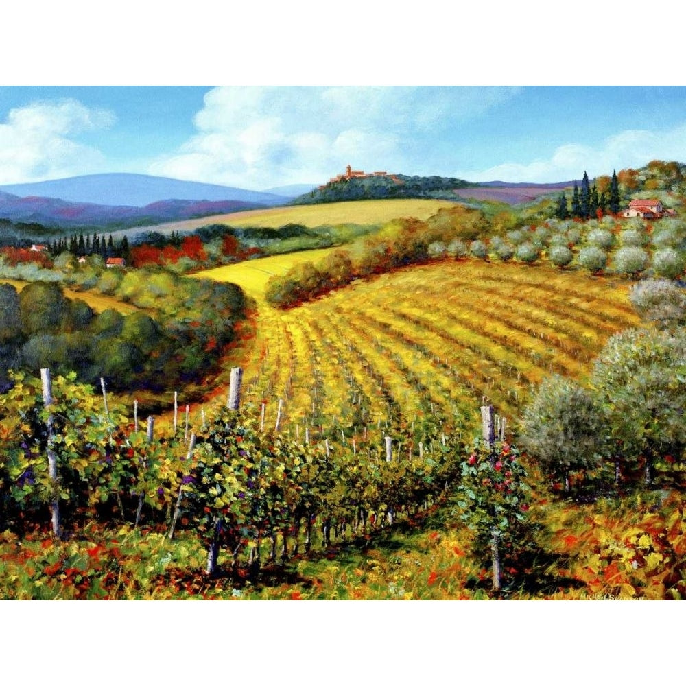 Chianti Vineyards Poster Print - Michael Swanson-VARPDX21228Z Image 1