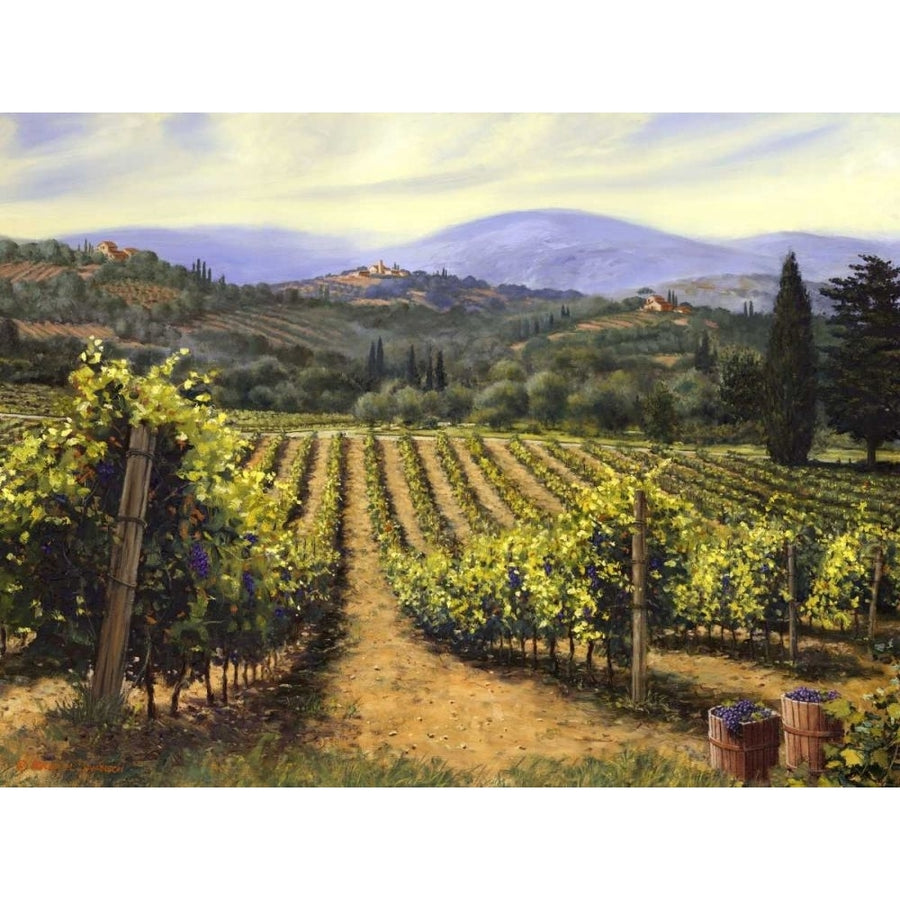 Tuscany Vines Poster Print - Michael Swanson-VARPDX21230Z Image 1