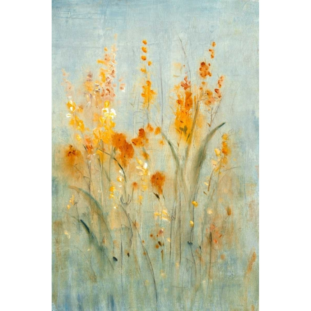 Spray of Wildflowers II Poster Print - Tim OToole-VARPDX21275FN Image 1