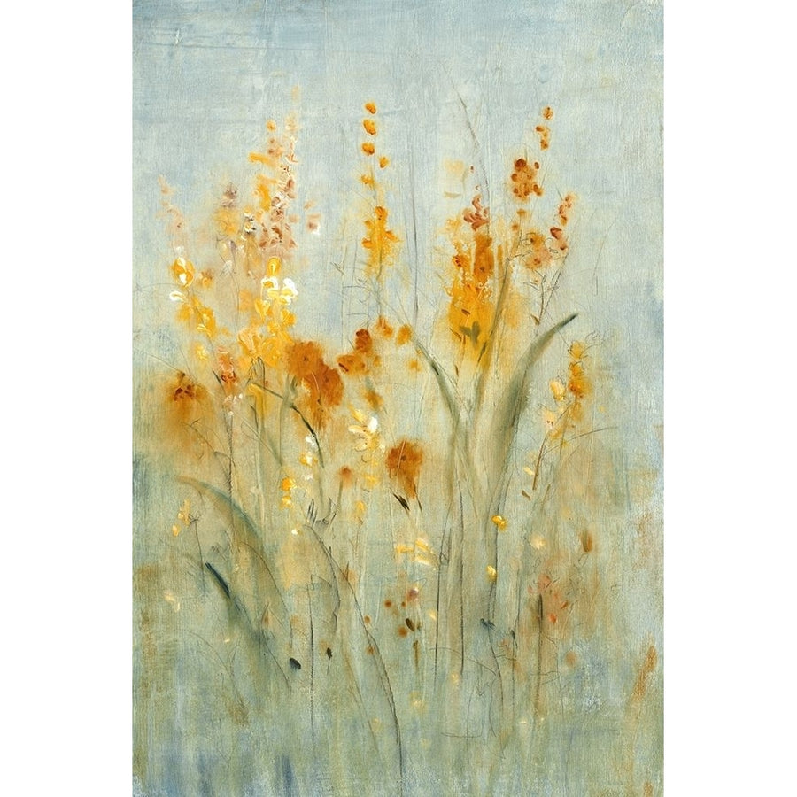 Spray of Wildflowers II Poster Print - Tim OToole-VARPDX21275Z Image 1