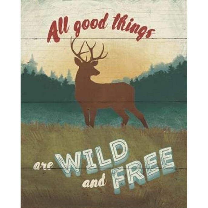 Discover the Wild II Poster Print by Janelle Penner-VARPDX21358 Image 1