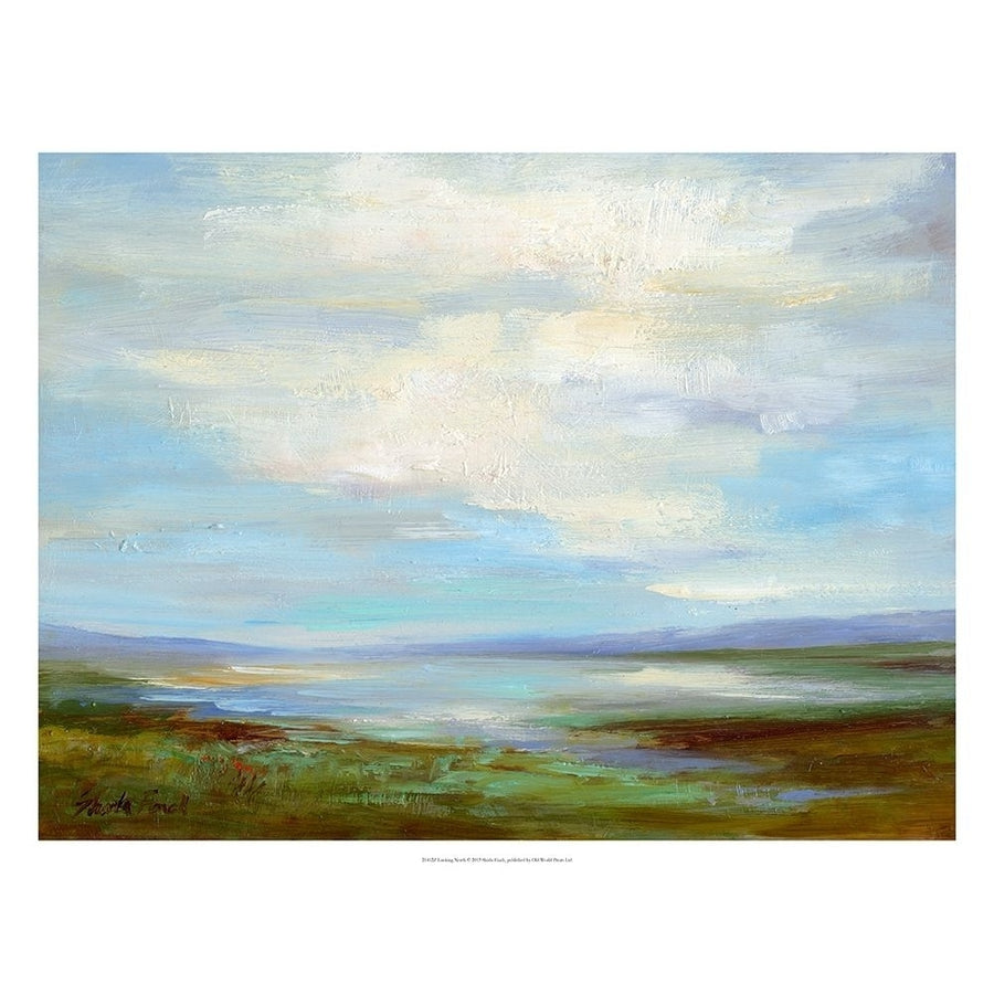 Looking North Poster Print - Sheila Finch-VARPDX21412Z Image 1